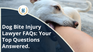 Dog Bite Injury Lawyer FAQs? Get Answers from our top personal injury lawyers.