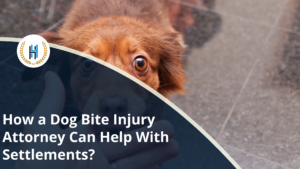 How a Dog Bite Injury Attorney Can Help You for dog bite settlements?