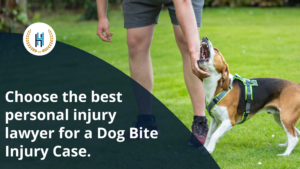 How to Choose the Right Lawyer for Your Dog Bite Injury Case?