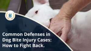 How to Fight Back: Common Defenses in Dog Bite Injury Cases.