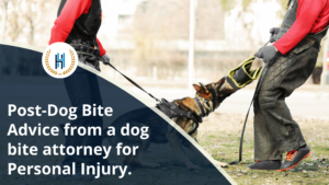 Steps to Take After a Dog Bite Attack: Advice from a Dog Bite Attorney for Personal Injury.